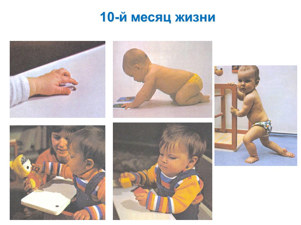 Что умеет ребёнок в 10 месяцев. Навыки ребенка в 10 месяцев мальчик. 10 месяцев ребенку развитие. Что должен уметь ребёнок в 10 месяцев. Развитие ребенка в 11 месяцев девочка.
