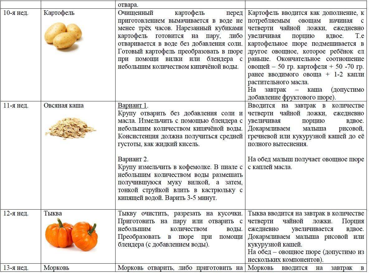 В каком возрасте можно начать давать грудничку овощное и фруктовое пюре