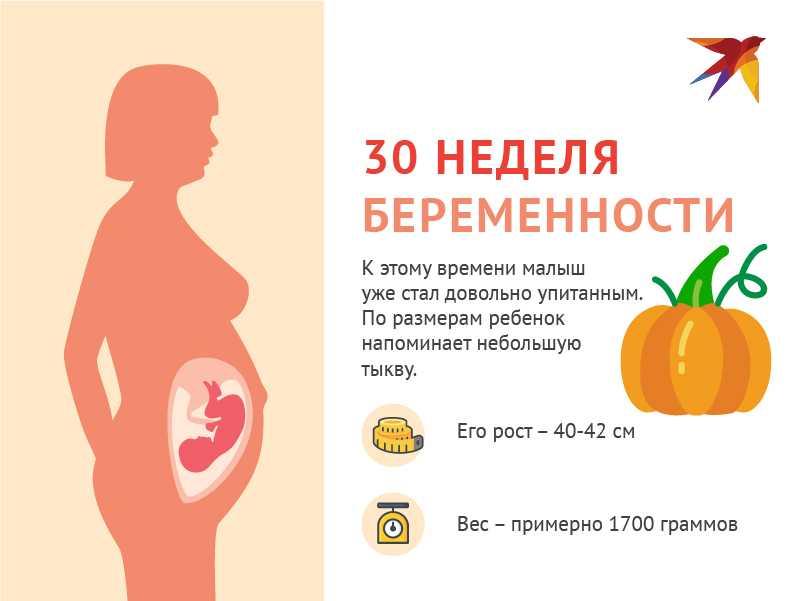 30 неделя беременности (3-й триместр) - мама и малыш
