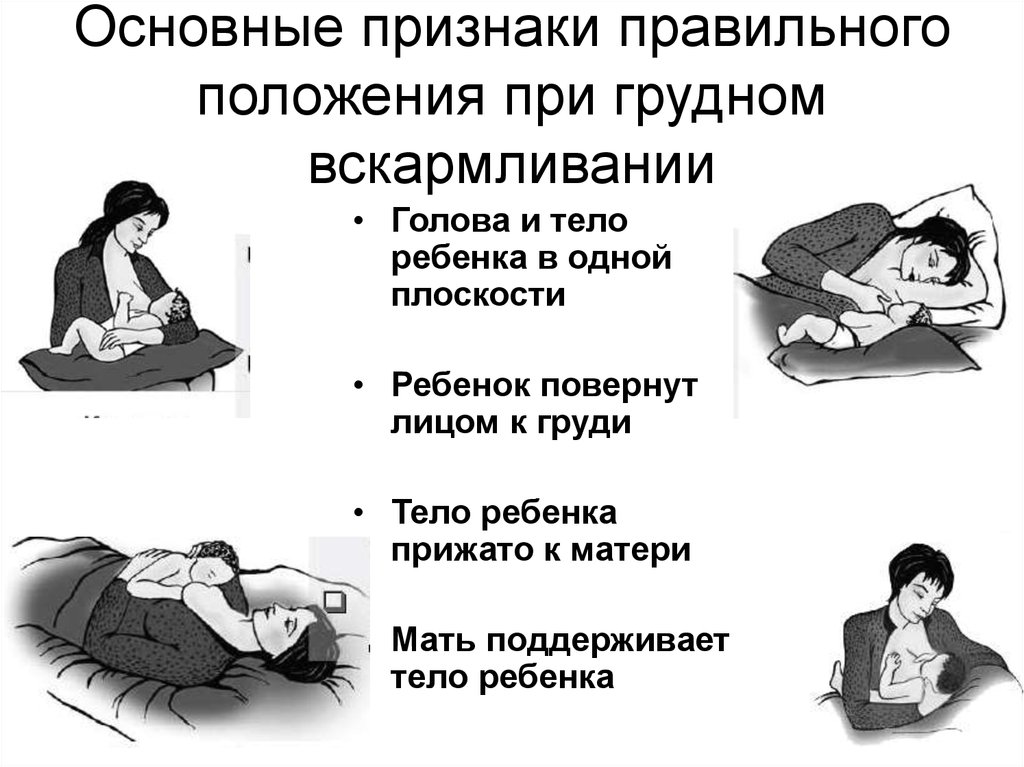 Правильное прикладывание новорожденного для успешного грудного вскармливания