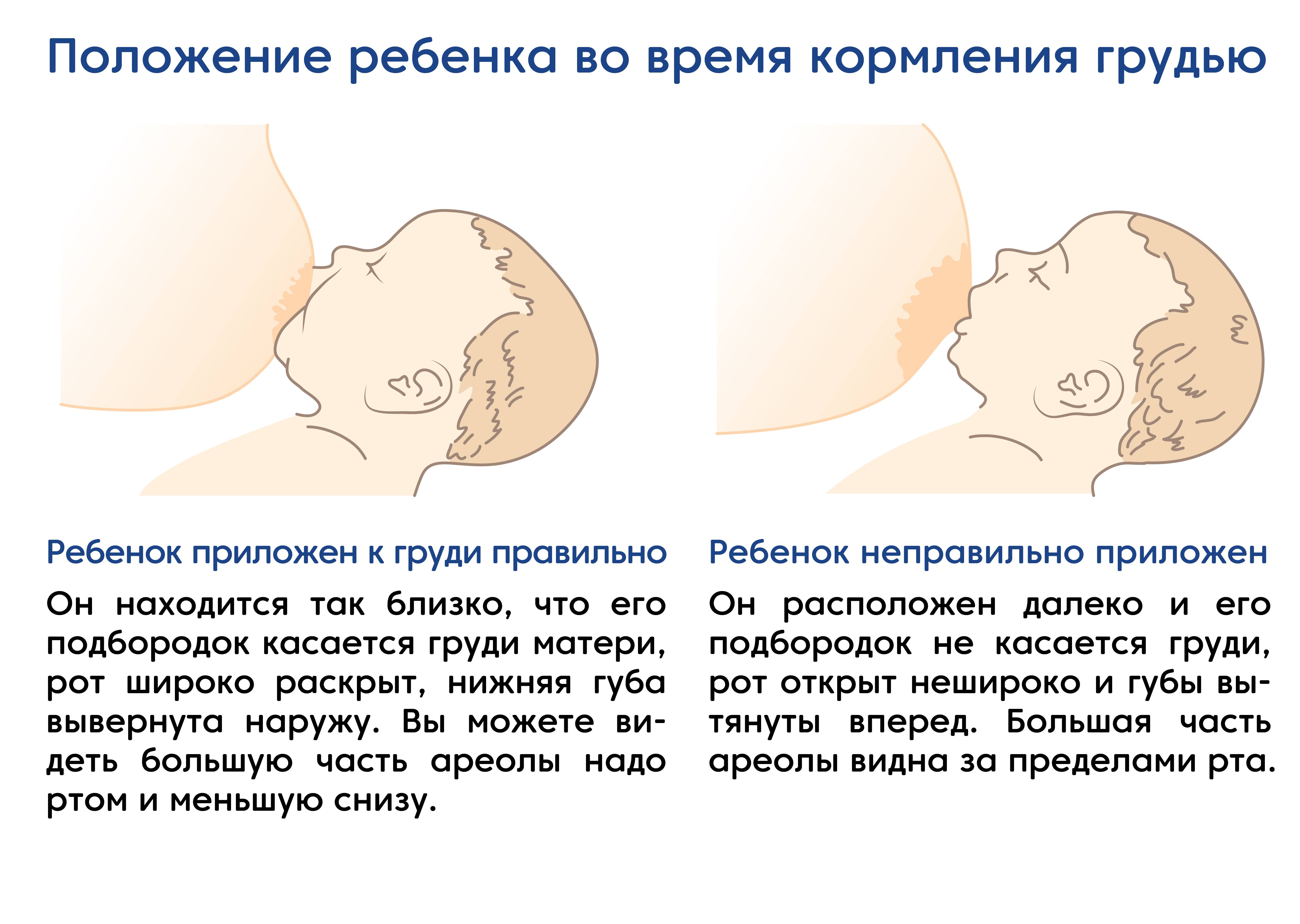 Как правильно кормить новорожденного грудным молоком: первое прикладывание, удобные позы, решение основных проблем
