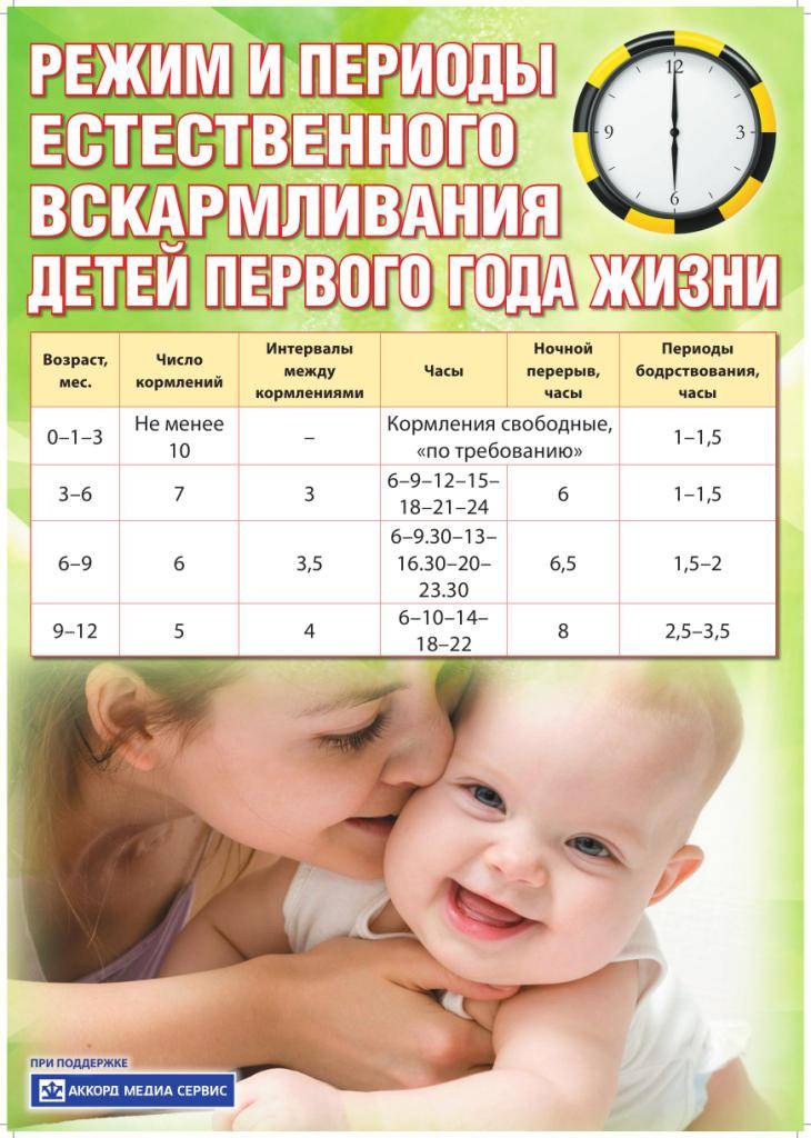 Кормление грудничка по требованию или по часам: как лучше