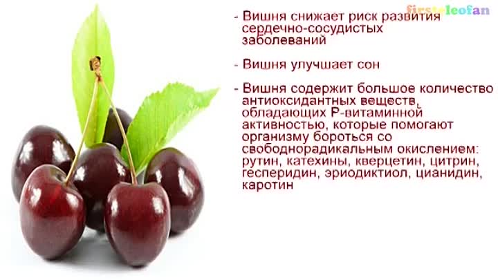 Употребление вишни при беременности | уроки для мам