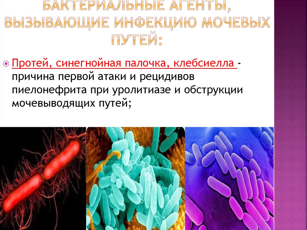 Клебсиелла у грудничка: симптомы и лечение