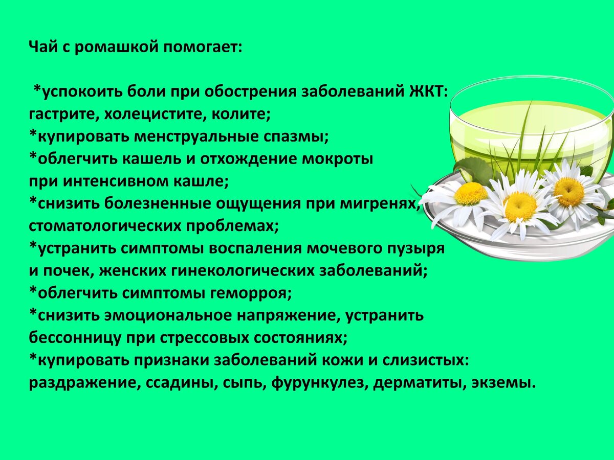 Можно ли пить ромашку кормлении. ромашка при гв: полезные свойства и правила приема