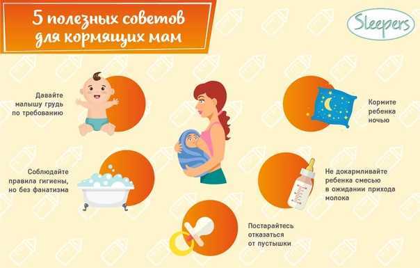 Грибы при гв-можно или нет?