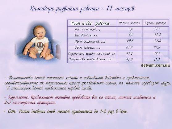 Что умеет ребенок в 11 месяцев: физиологическое, физическое и психическое развитие