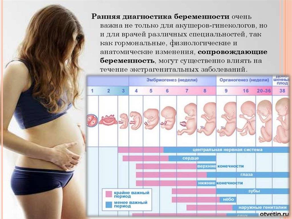 Не чувствую что беременна. Беременность на ранних сроках. Беременна ранний срок. Признаки беременности. Первая беременность ранние сроки.