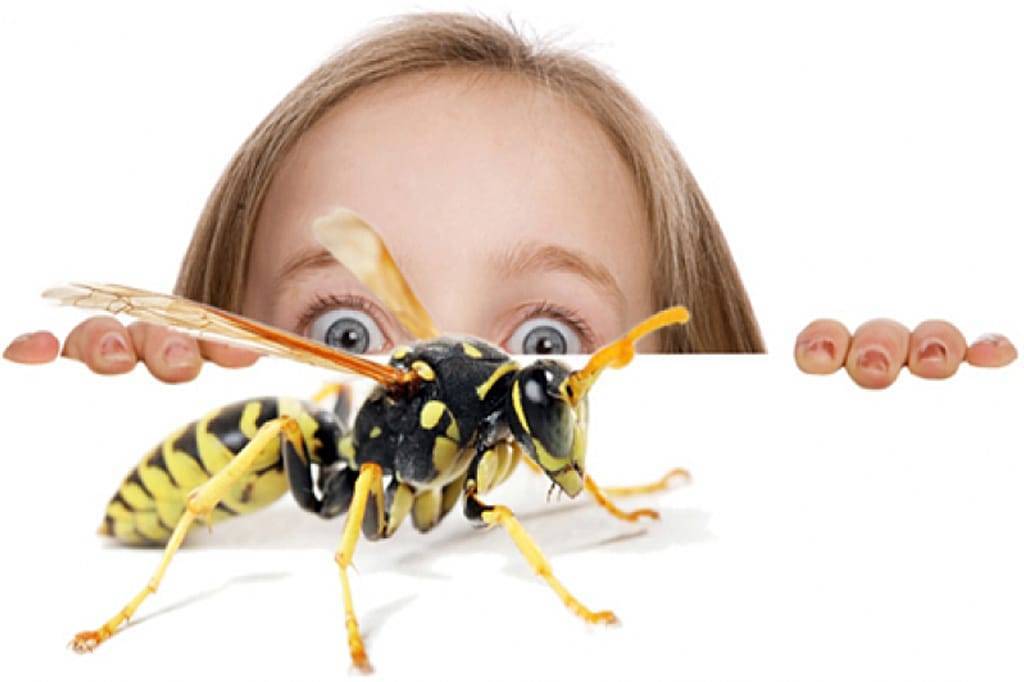 Ребенок боится мух