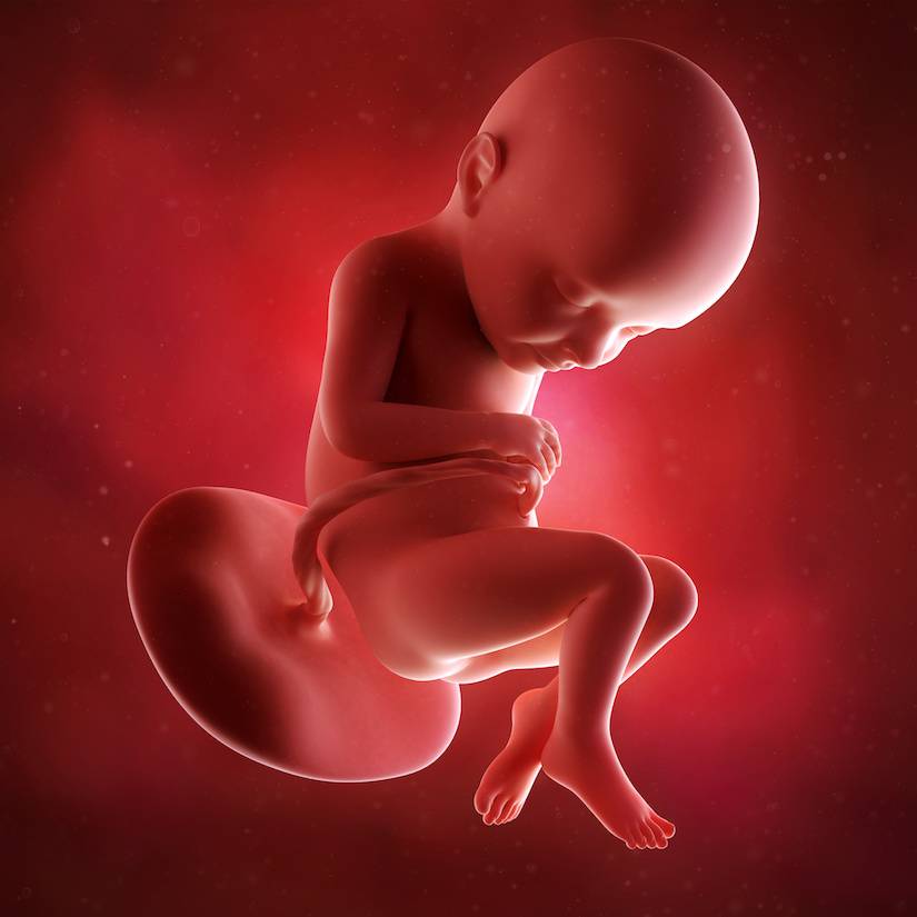 32 неделя беременности развитие и фото — евромедклиник 24