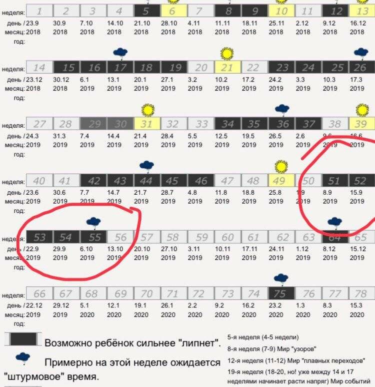 Скачок роста в 1 год 5 месяцев