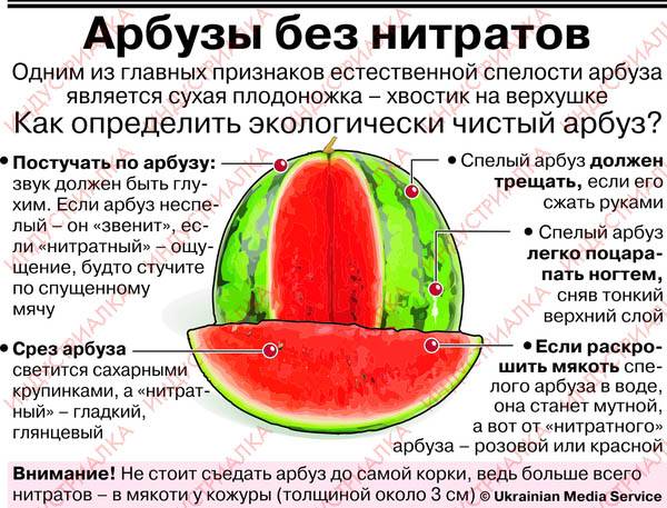 Можно ли арбуз при грудном вскармливании кормящей маме в первый месяц