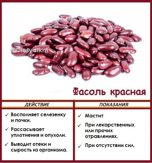 Фасоль: польза и вред для здоровья организма мужчин и женщин, противопоказания