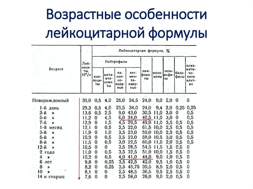 Сегментоядерные нейтрофилы у ребенка: пониженные и повышенные у малышей в возрасте 2, 3 лет и не только, причины увеличения и уменьшения количества в крови, норма
