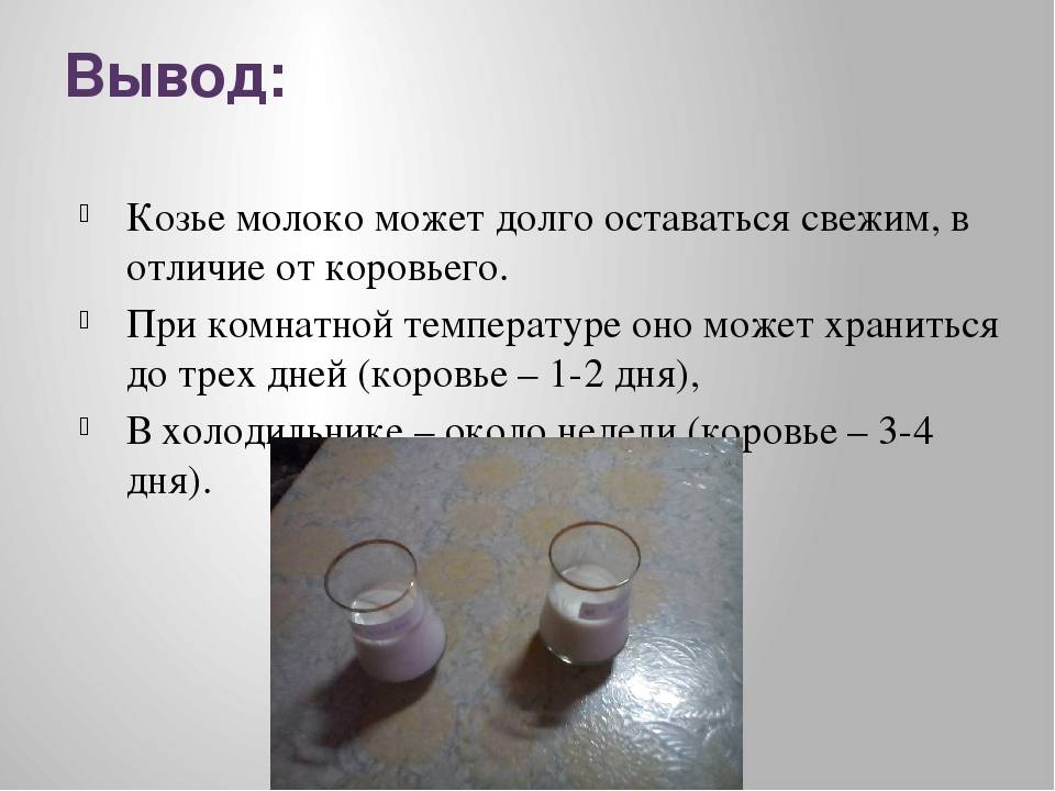 Козье молоко для грудничка: его польза и употребление
