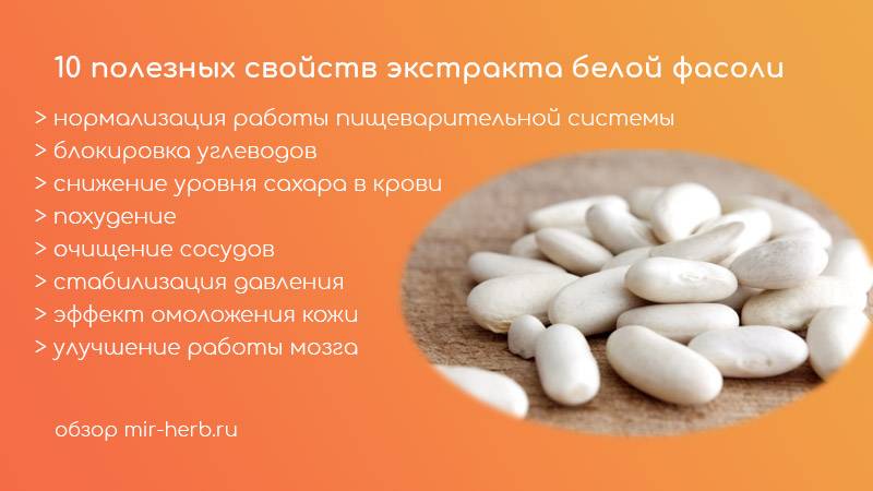 Фасоль при беременности