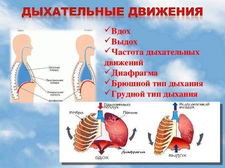 Что делать, если у ребёнка проводные хрипы?