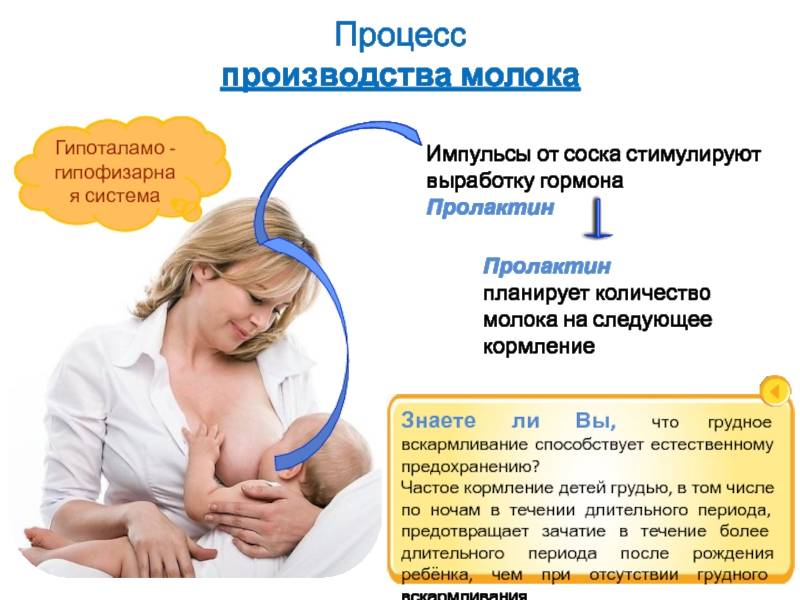 Гиперпролактинемия: причины, симптомы, диагностика и лечение