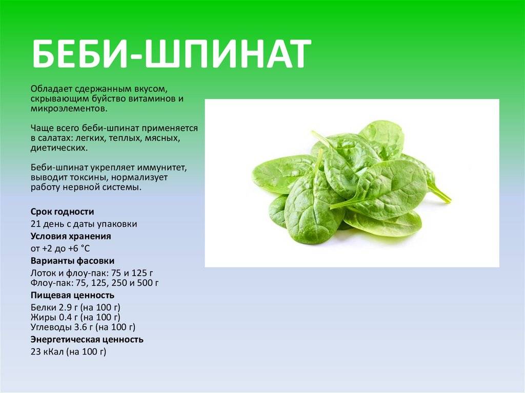 Что полезного в шпинате и как его готовить и употреблять в пищу, чтобы улучшить здоровье