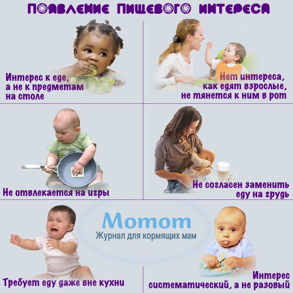 Ребенок не наедается грудным молоком: как понять, что ребенку не хватает молока