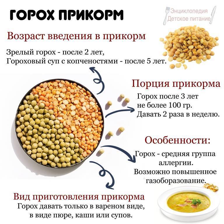 Можно ли включить горох в меню кормящей мамы. гороховая каша при грудном вскармливании
