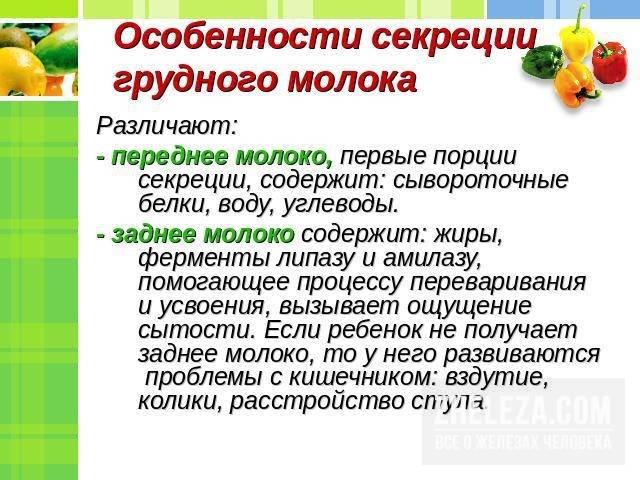 Переднее и заднее грудное молоко: что это значит
