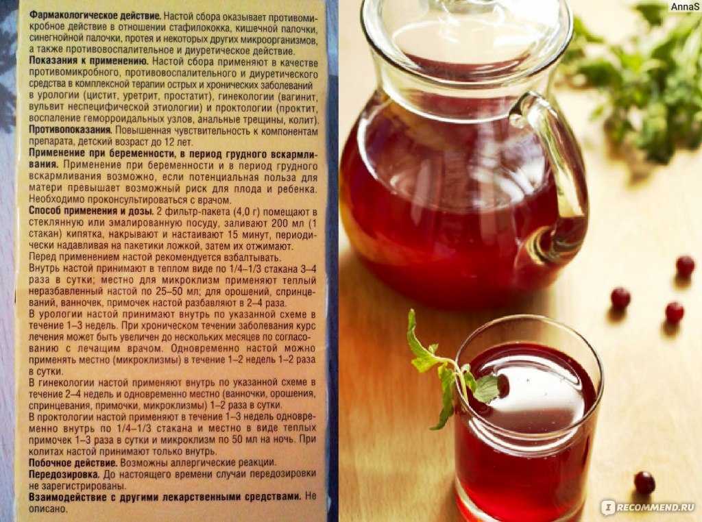 Калина при беременности: перед употреблением посоветуйтесь с врачом!