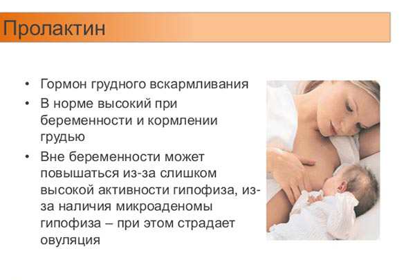 Признаки беременности у кормящей женщины - покажет ли тест беременность