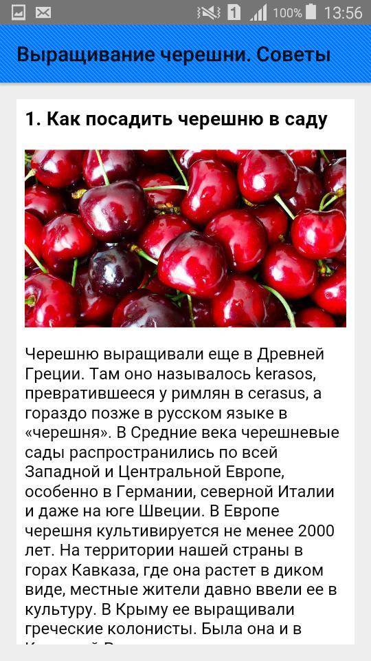 С какого возраста можно давать ребенку баклажаны