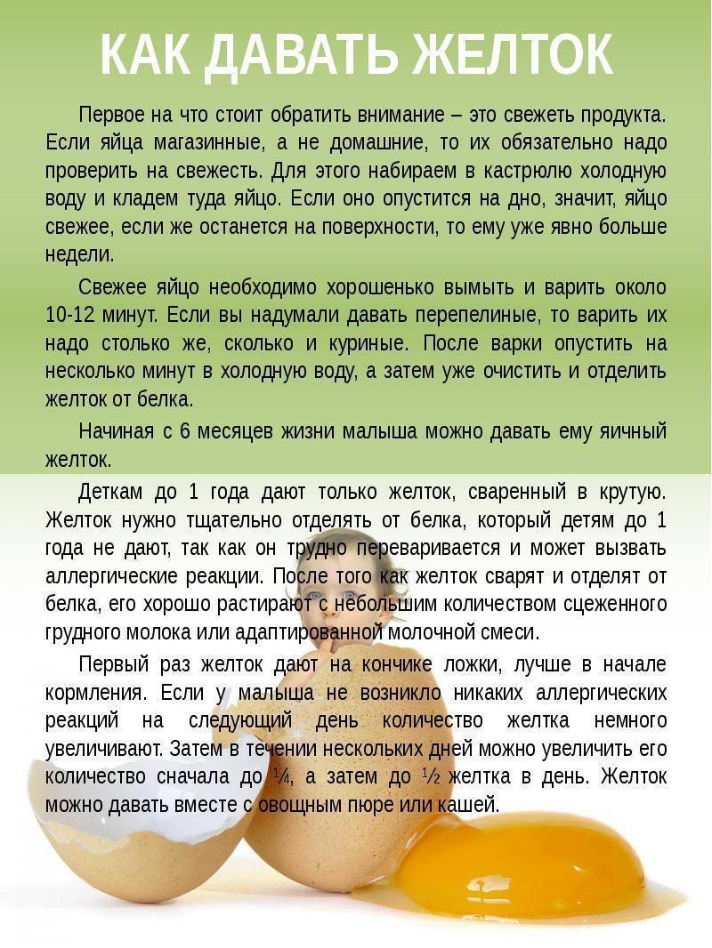 Как и когда вводить желток в прикорм: польза, противопоказания, норма, периодичность, приготовление