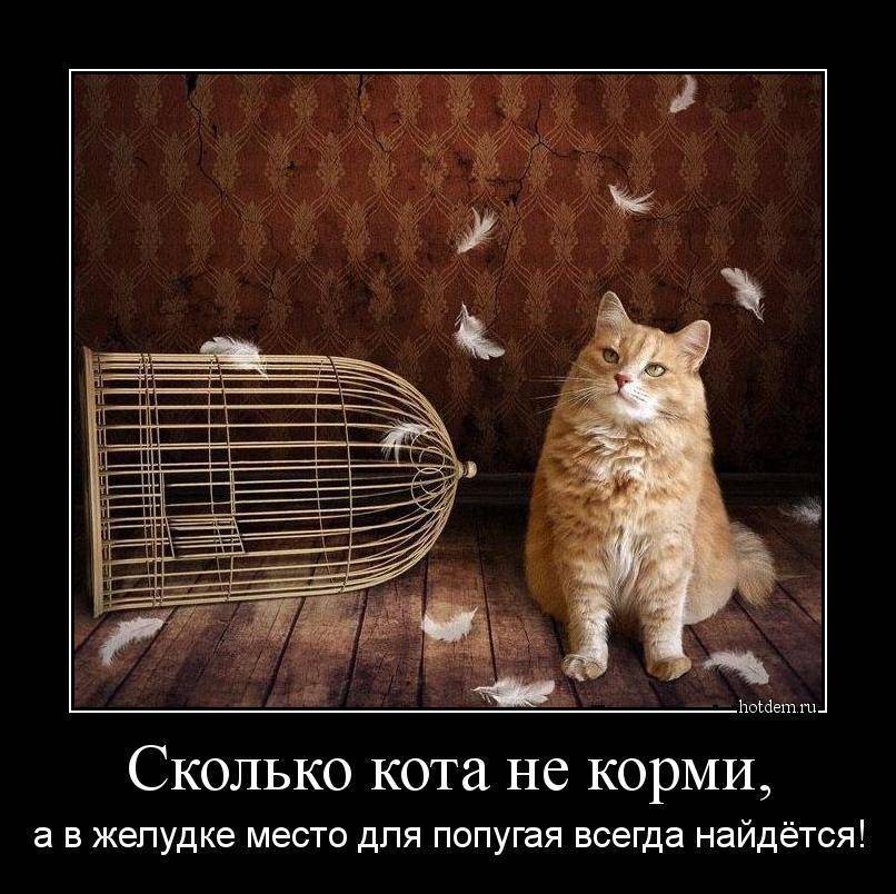 Не корми ночью: желудок ребенка должен отдыхать!?