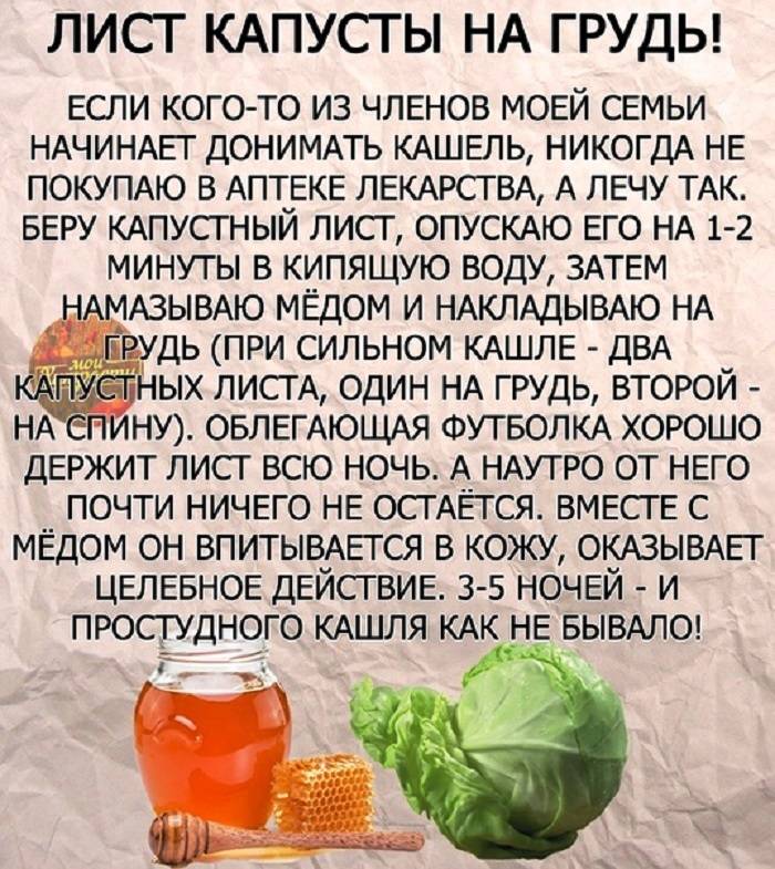 Что дать ребенку от кашля до года и старше: сиропы, микстуры, таблетки