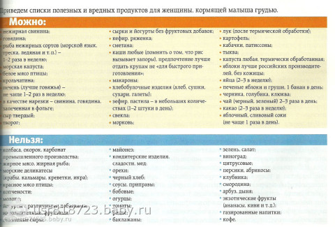 Сыр при грудном вскармливании: можно ли кормящей маме адыгейский, плавленный, брынзу и другие сорта, в том числе в первый месяц