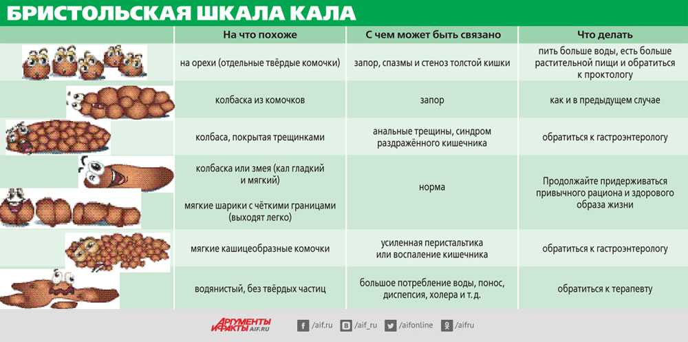 Что означают мышечные волокна с исчерченности и без нее в кале