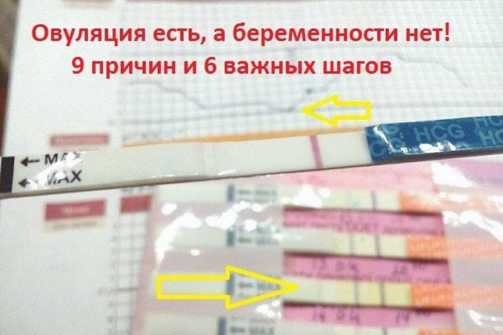 Беременность после родов: возможность зачатия при грудном вскармливании