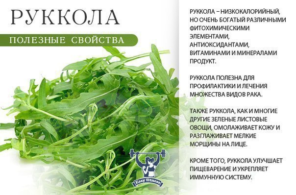 Можно ли кормящей маме добавить в свой рацион рукколу?