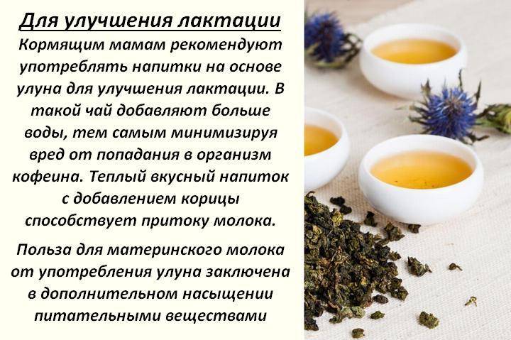 Можно ли кормящей маме пить ромашку