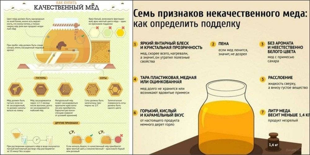 Как отличить настоящий натуральный мед от подделки
