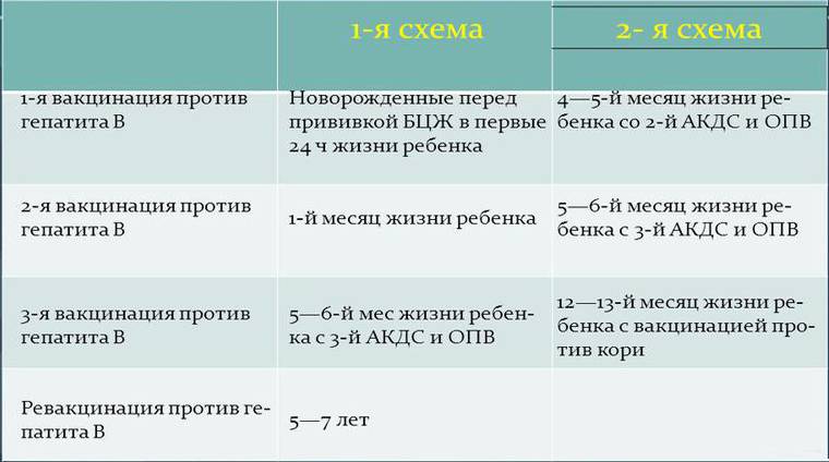 Гепатит в прививки взрослым схема