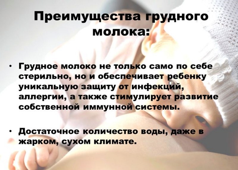 Можно ли кормящей маме вино и его влияние на лактацию