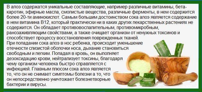 Алоэ от насморка для детей, отзывы