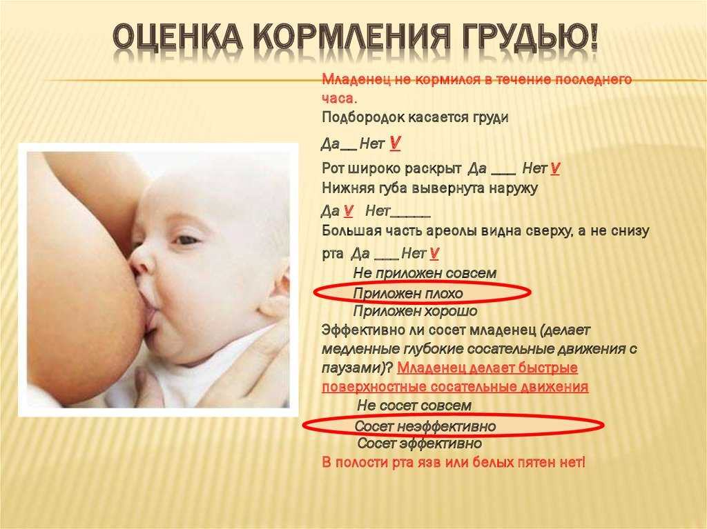 Можно ли кормить грудью при температуре: что делать, если заболела кормящая мама или ребенок - я happy мама
