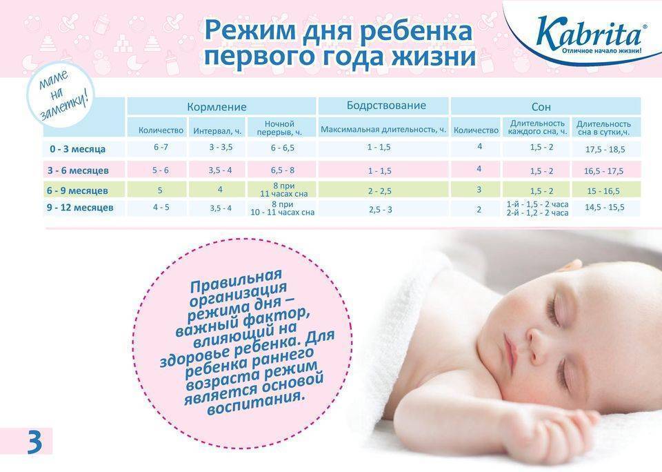 Кормление по требованию или по часам: какой метод лучше?