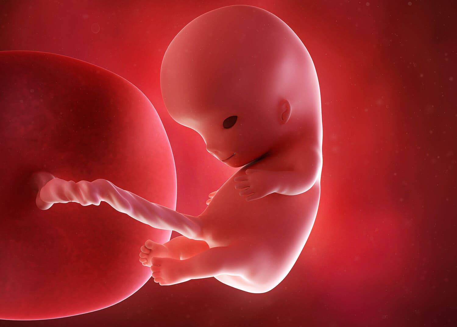 10 неделя беременности - что происходит с малышом и мамой? ощущения в животе
