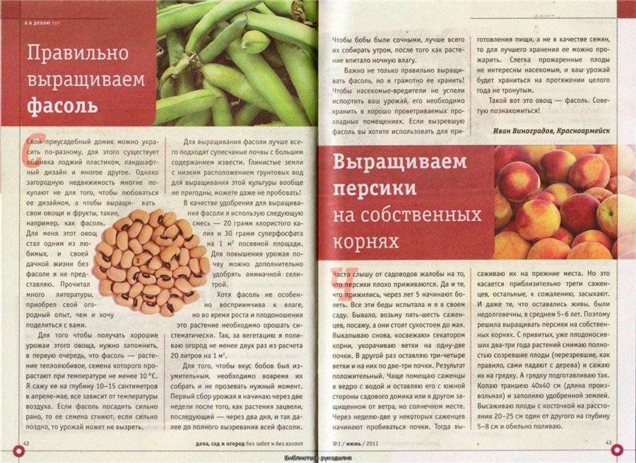 Какие овощи можно при грудном вскармливании