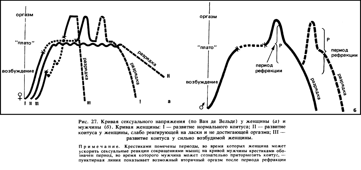Возбуждение п. Графики возбуждения мужчины и женщины. Фазы женского возбуждения. Длительность оргазма у мужчин и женщин. Стадия плато.