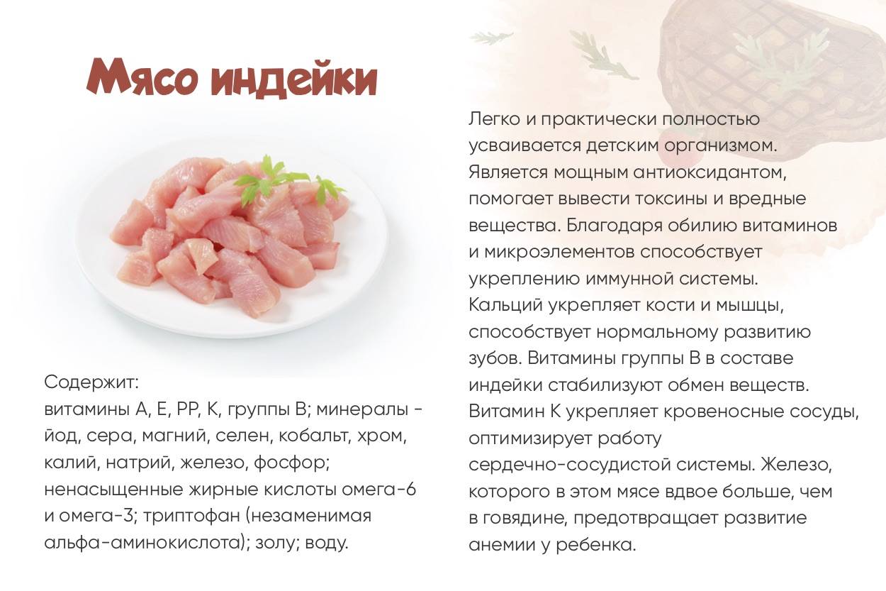 Рецепты из индейки для ребенка: салаты, пюре, вторые блюда
