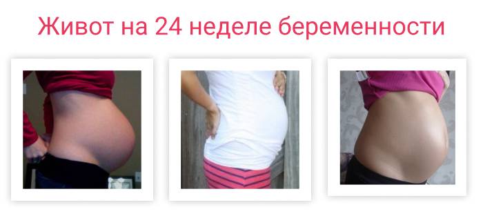 24 неделя беременности - что происходит с тобой и малышом