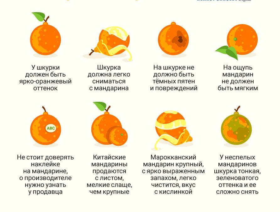 Мандарины детям с какого возраста комаровский. кладезь витаминов и полезных веществ