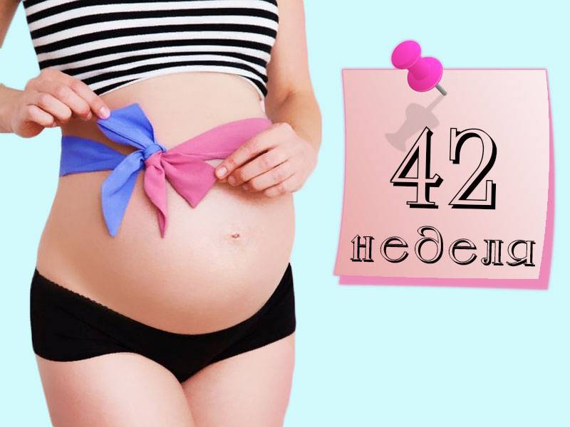 Календарь беременности. 30-я акушерская неделя